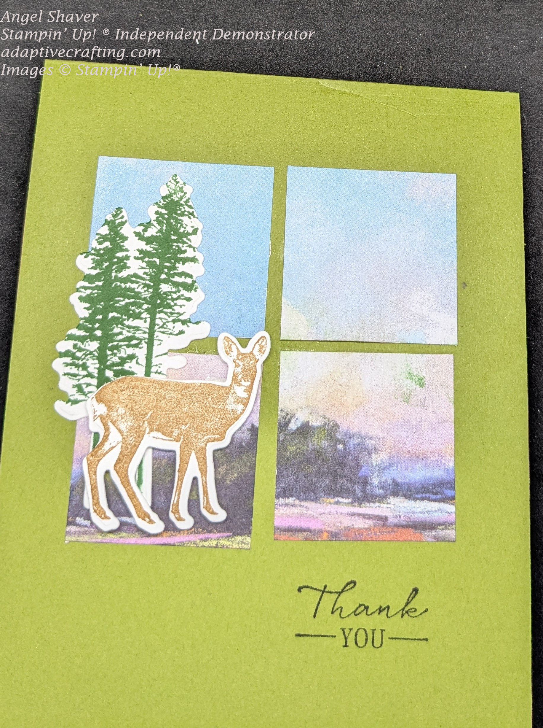 Deer thank you outside