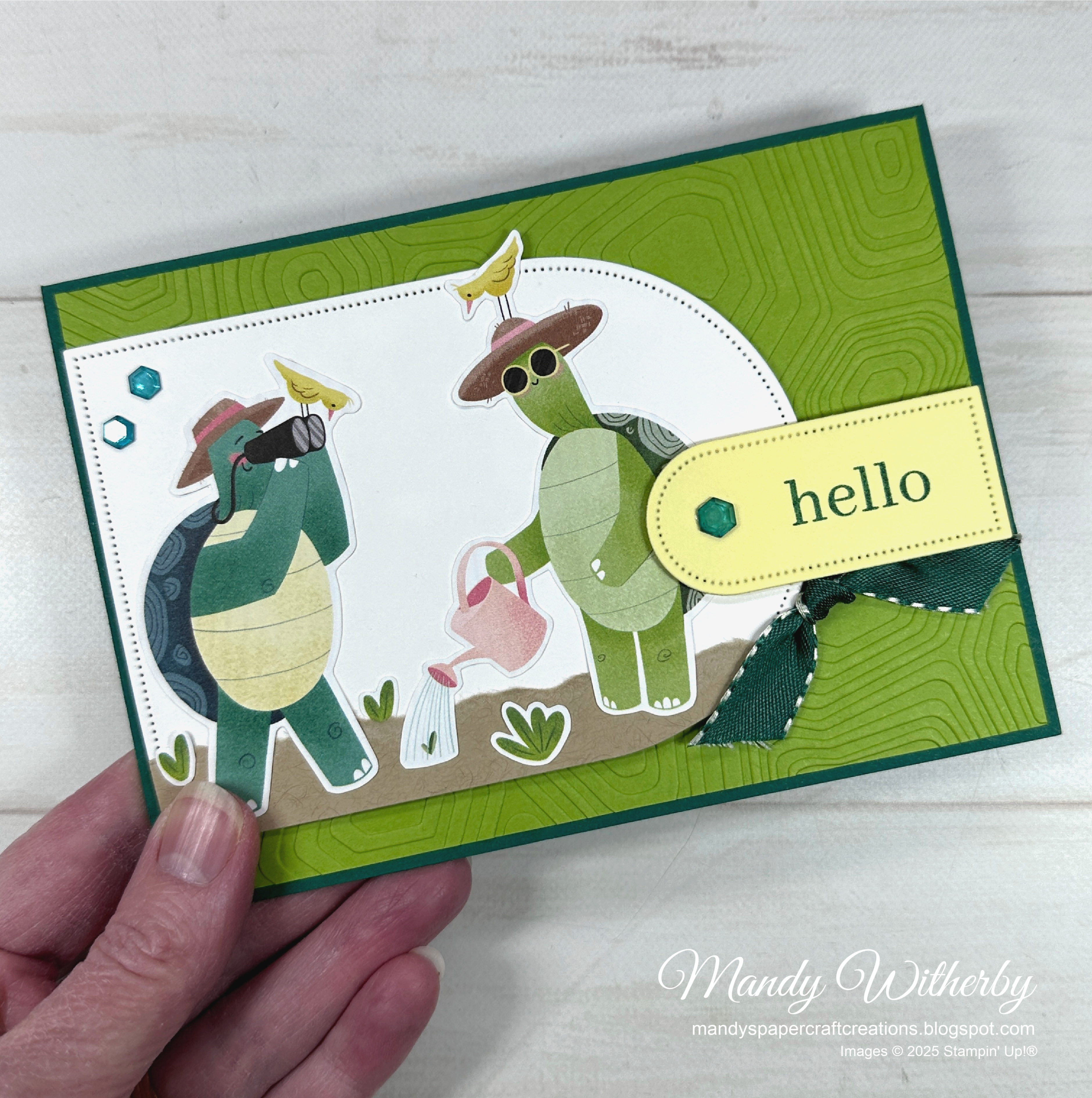Hello turtles card 1