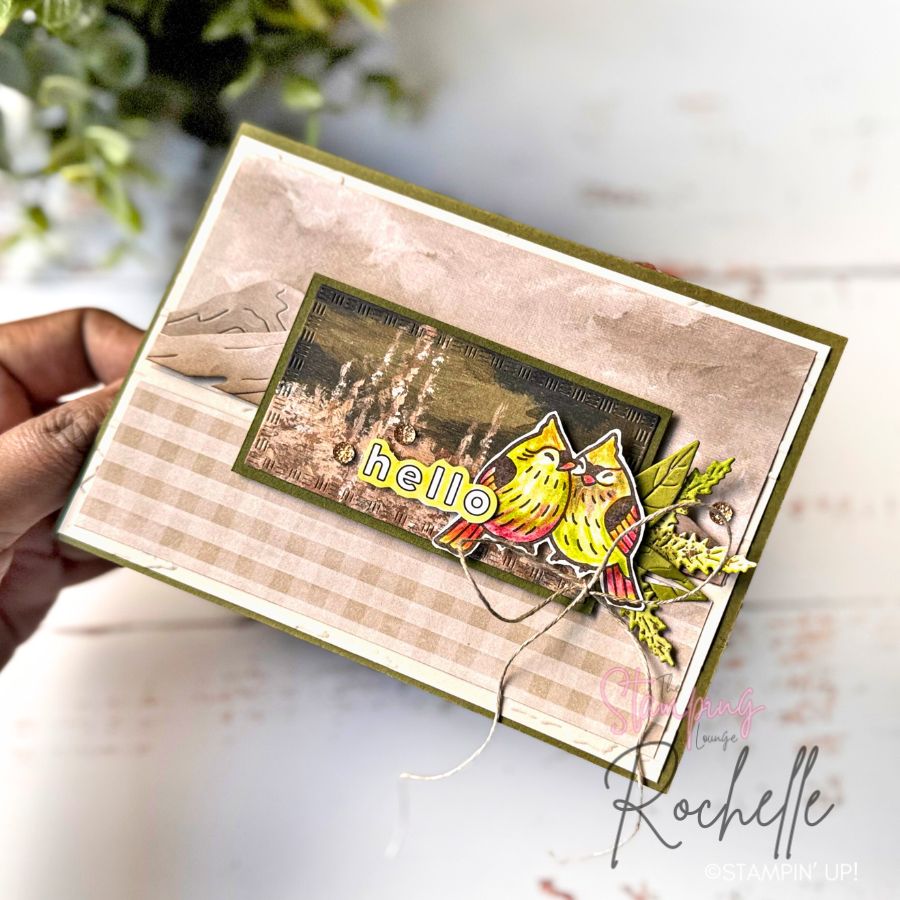 Feathered fun watercolor pencils stamping lounge