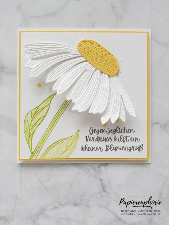 Stampinup stempelnd durchs jahr 06 2025 sonnenhut astridspapiereuphorie 2 202506