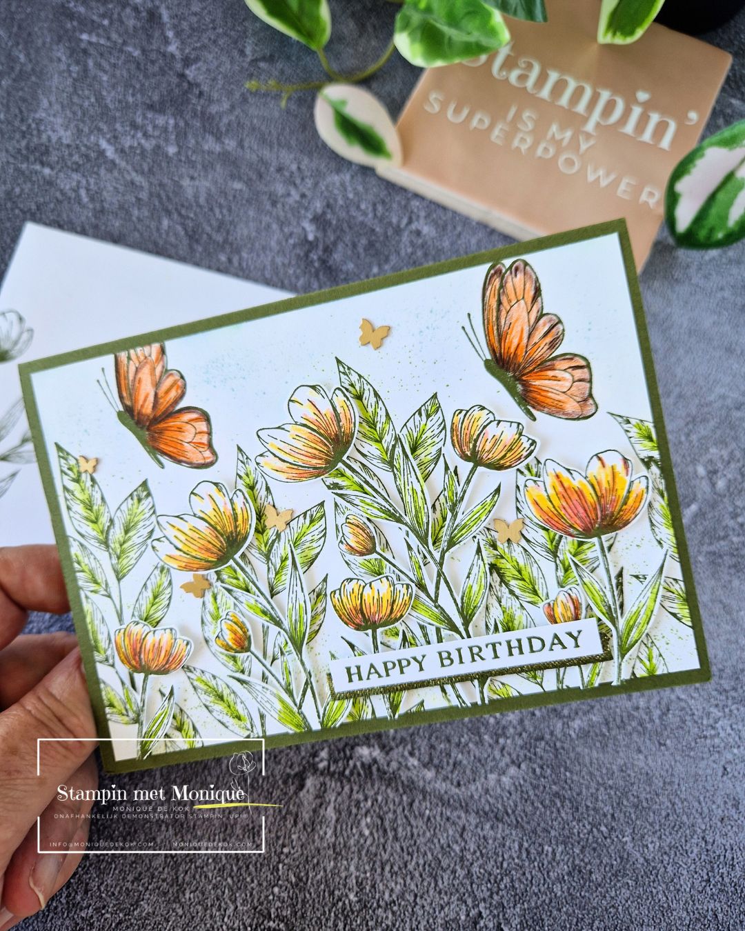 Spotlight on nature 1