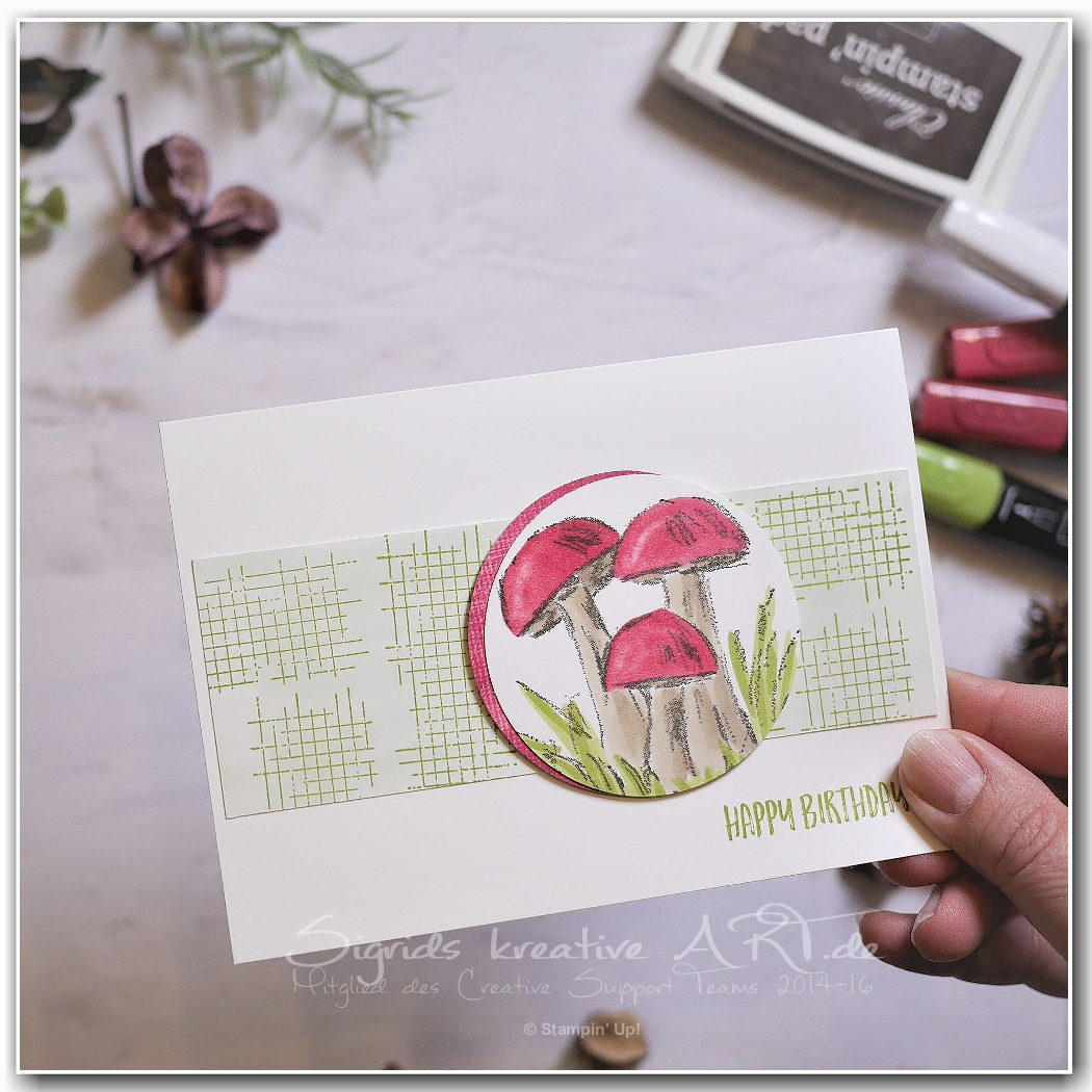 Waldspaziergang   fliegenpilze zum geburtstag   stampin up 2 001