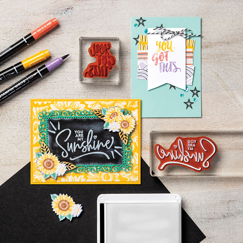Ridicuilosly awesome stamp set