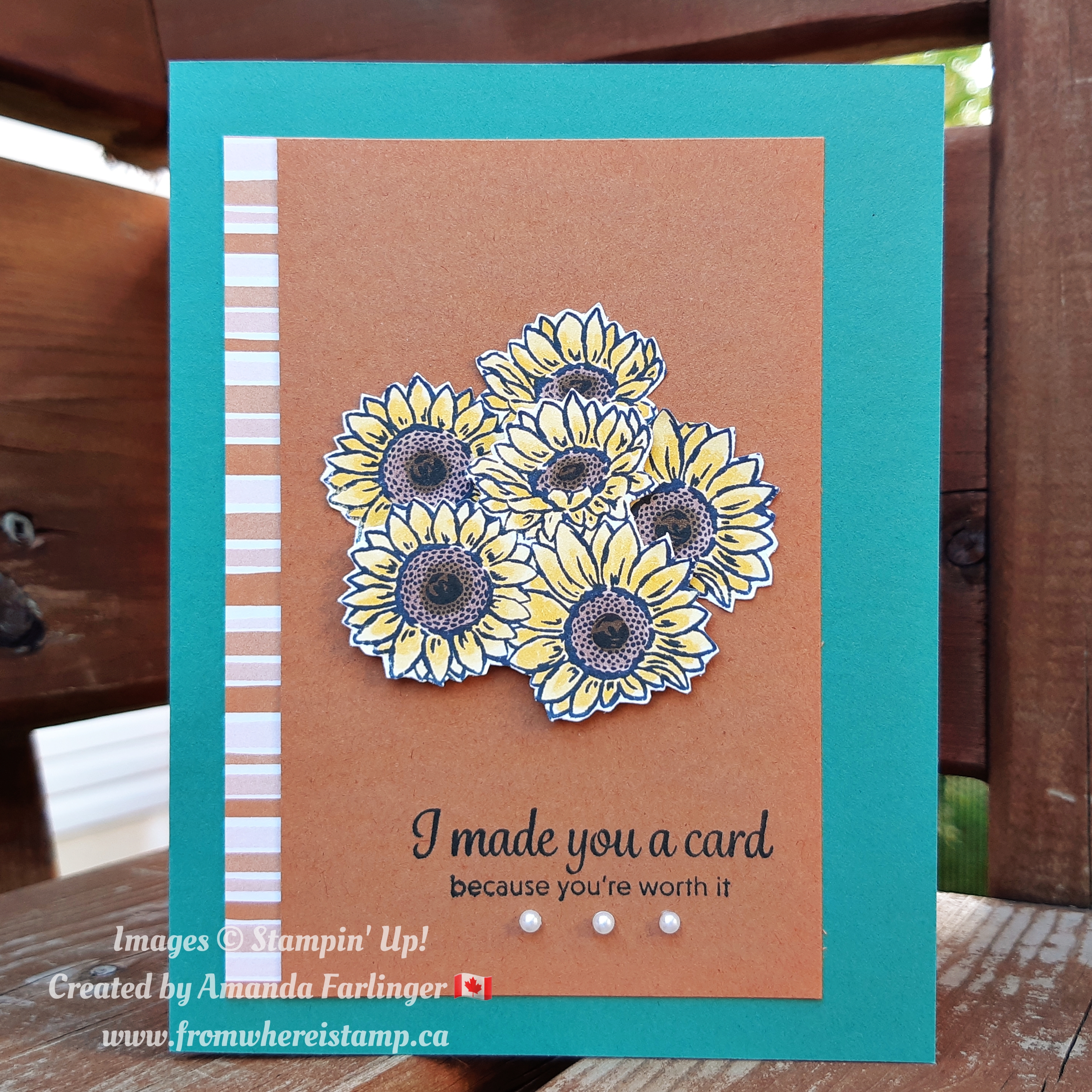 Sunflower cinnamon from where i stamp