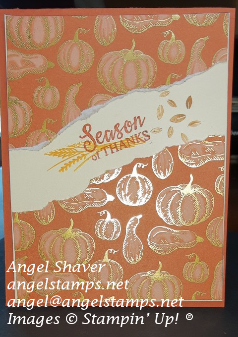 Season of thanks angle