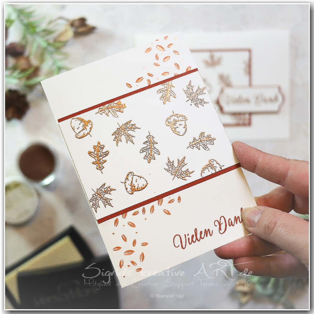 Sch%c3%b6ner herst embossingpulver kupfer embossing stampin up 1 001