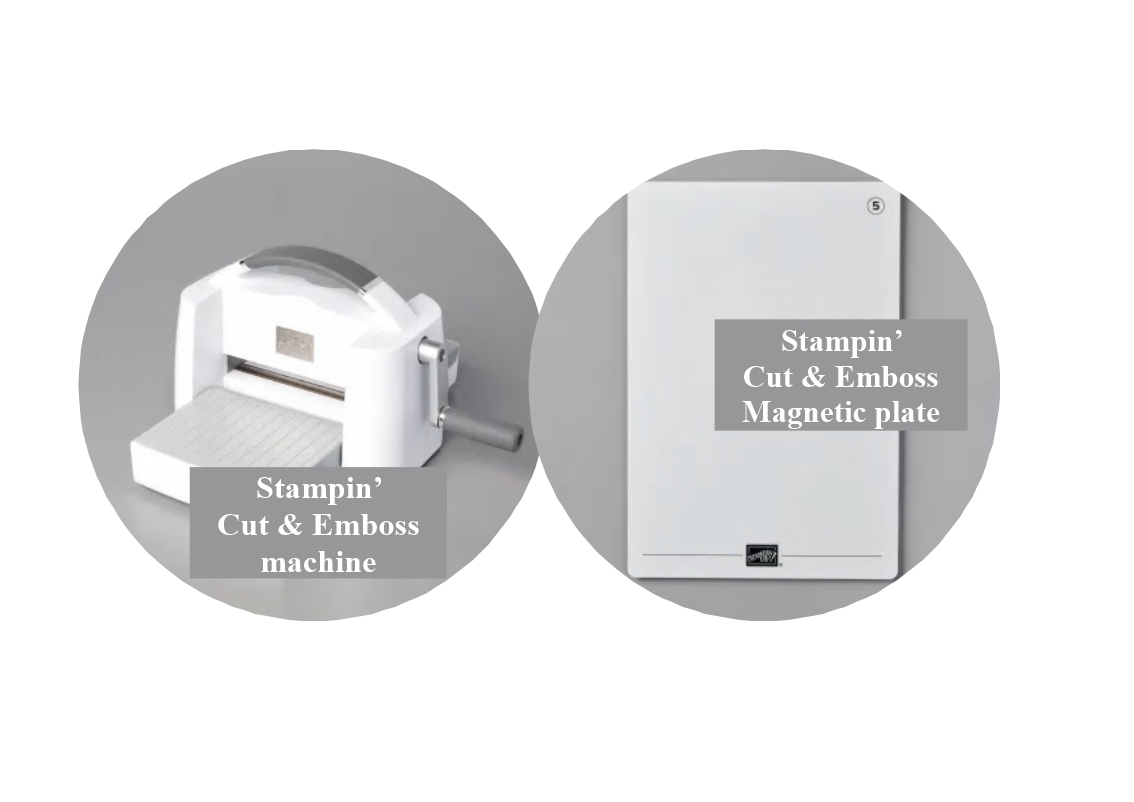 Stacie and magnetic plate pictures