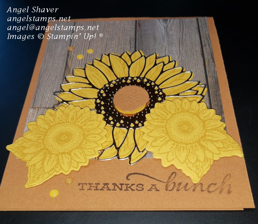 Sunflower tic tac toe outside with dots