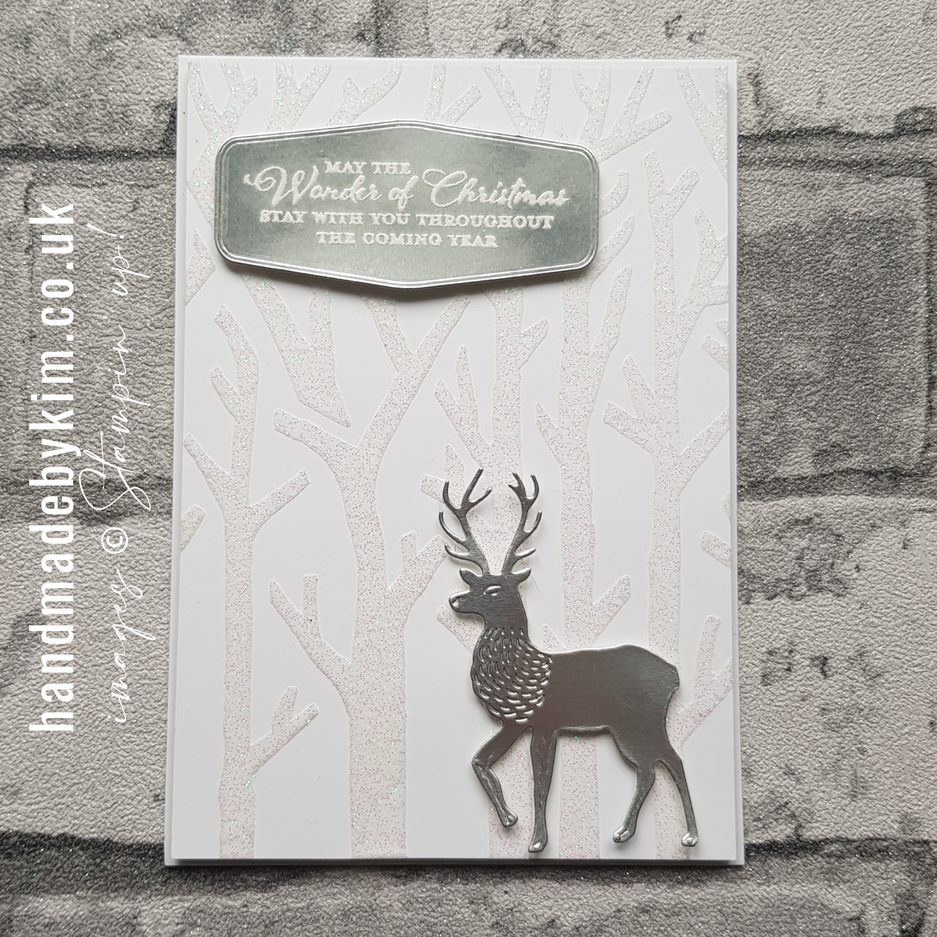 North pole wonder   embossing paste 01