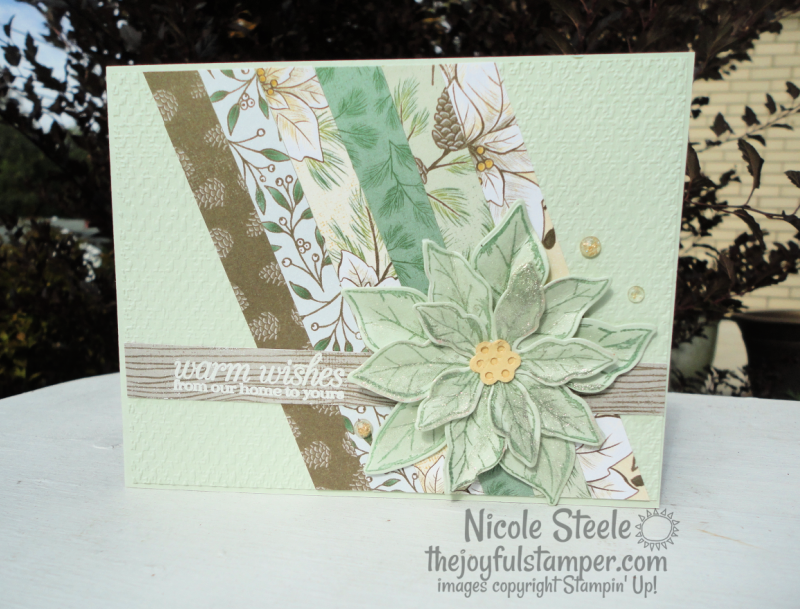 Blog poinsettia petals dsp scraps card horizontal
