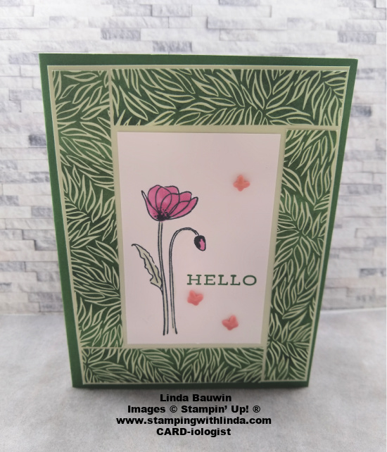  designerseriespaperborder   designerseriespapersale   lindabauwin