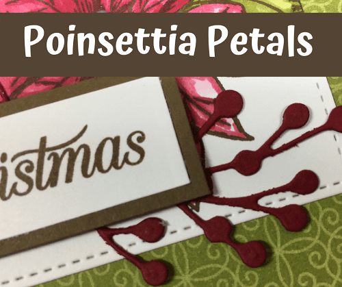 Poinsettia petals thumbnail 2 resized and compressed