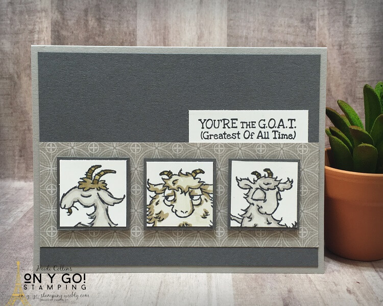Three squares goats resized and compressed