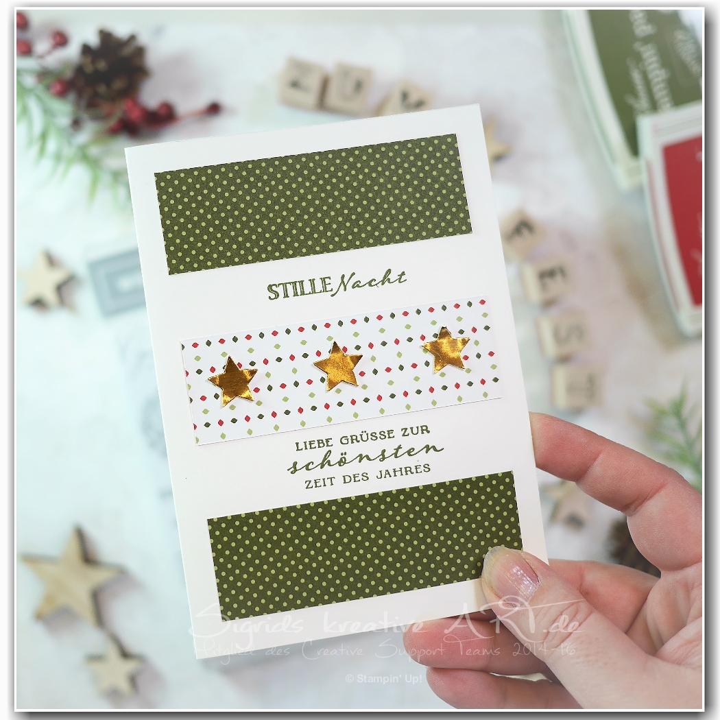 1 dsp   10 karten   designerpapierzuschnitt cm   stampin up 9 001
