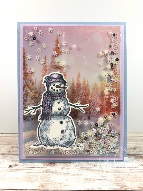 Feels like frost  snow wonder shaker card   3 