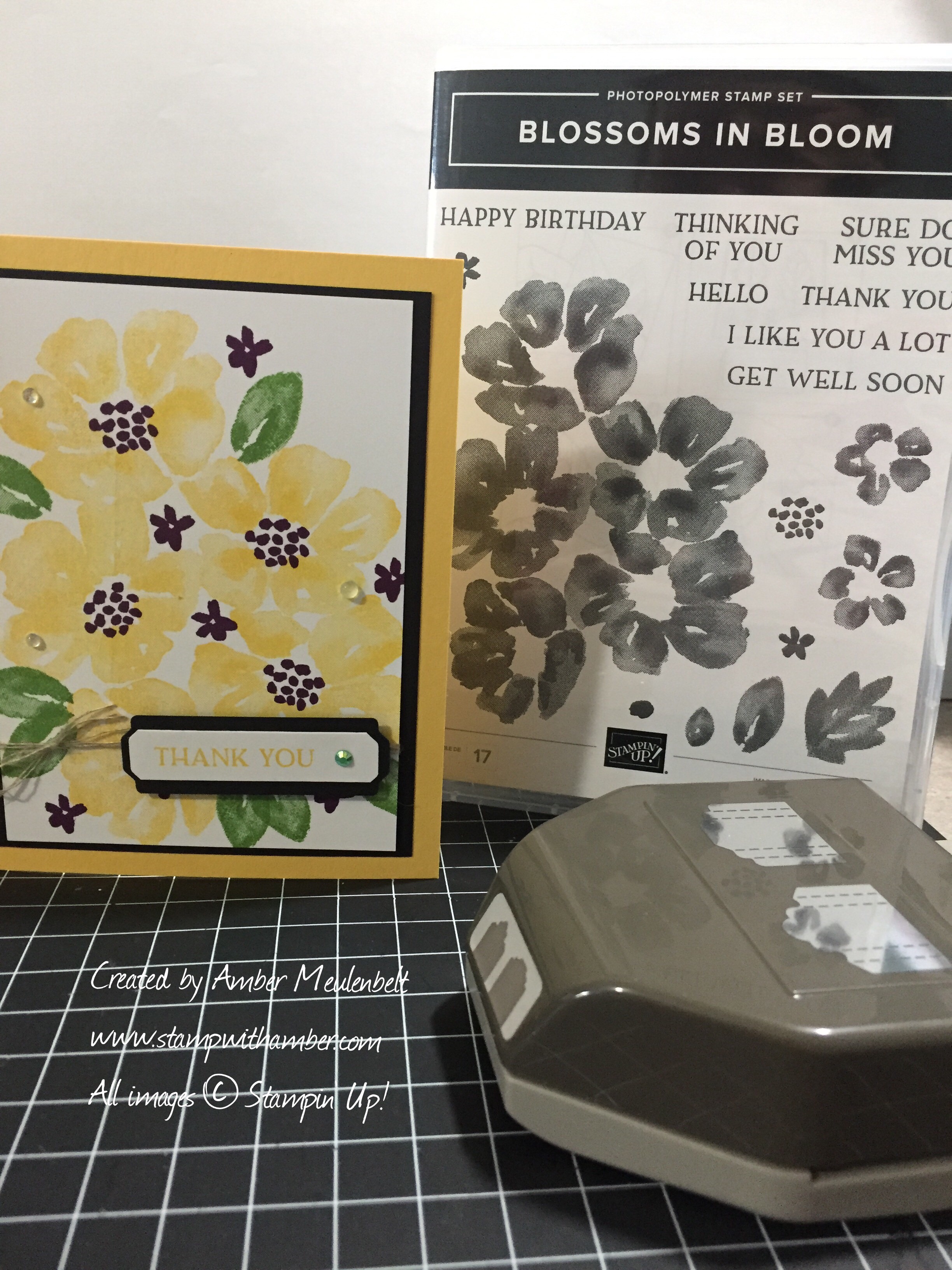Blossoms in bloom stampwithamber