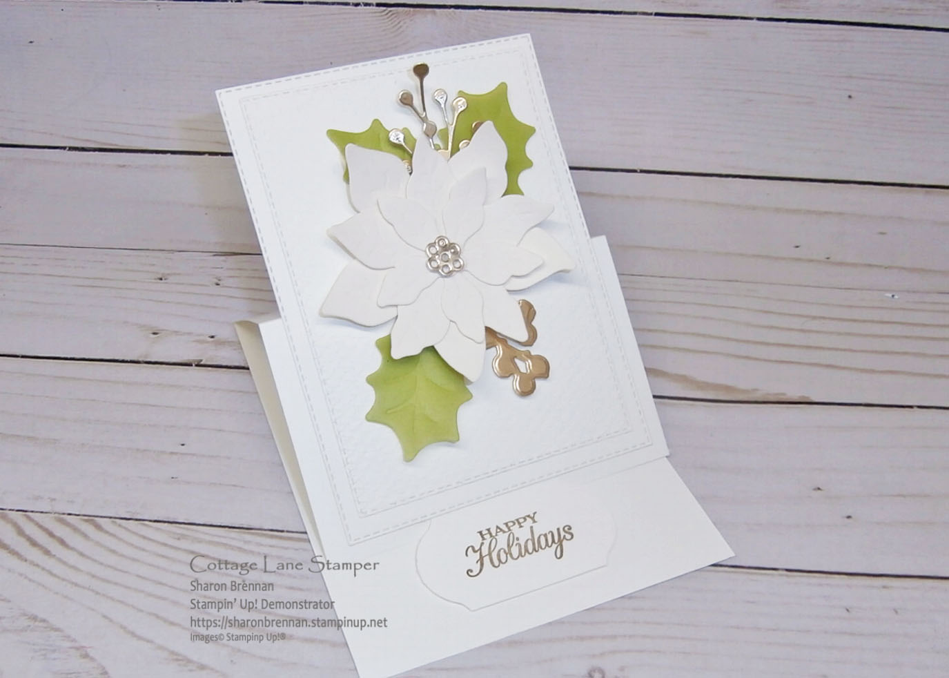 Nov zoom easel poinsettia  4 