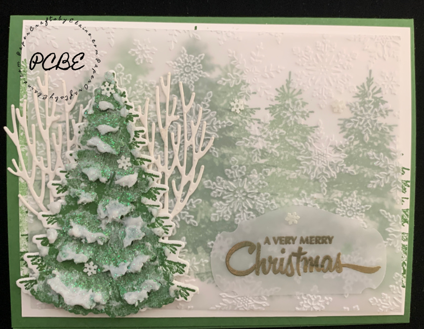 Winter woods 3d .2