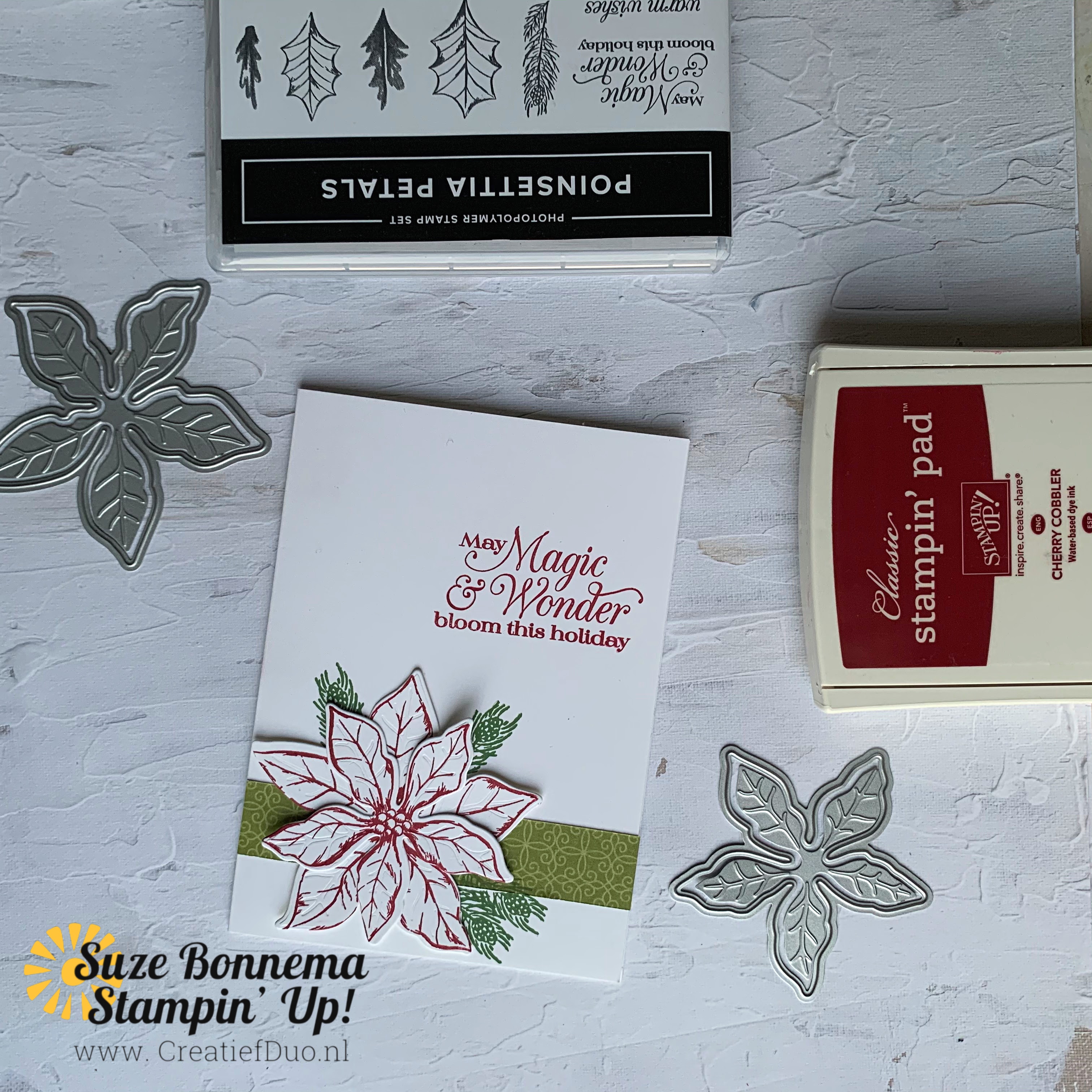 Poinsettia petals kerstkaart  kerstster stampin up