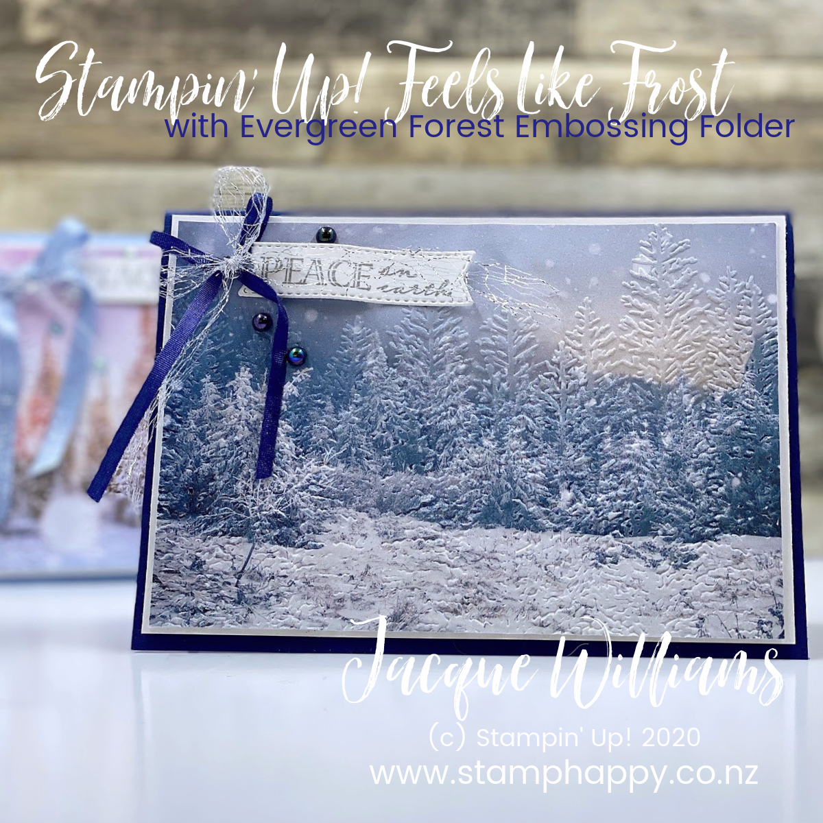 Stampin up feels like frost with evergreen folder winter christmas card printed paper wrapped in christmas