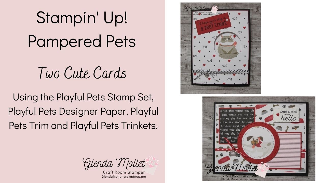 003 playful pets