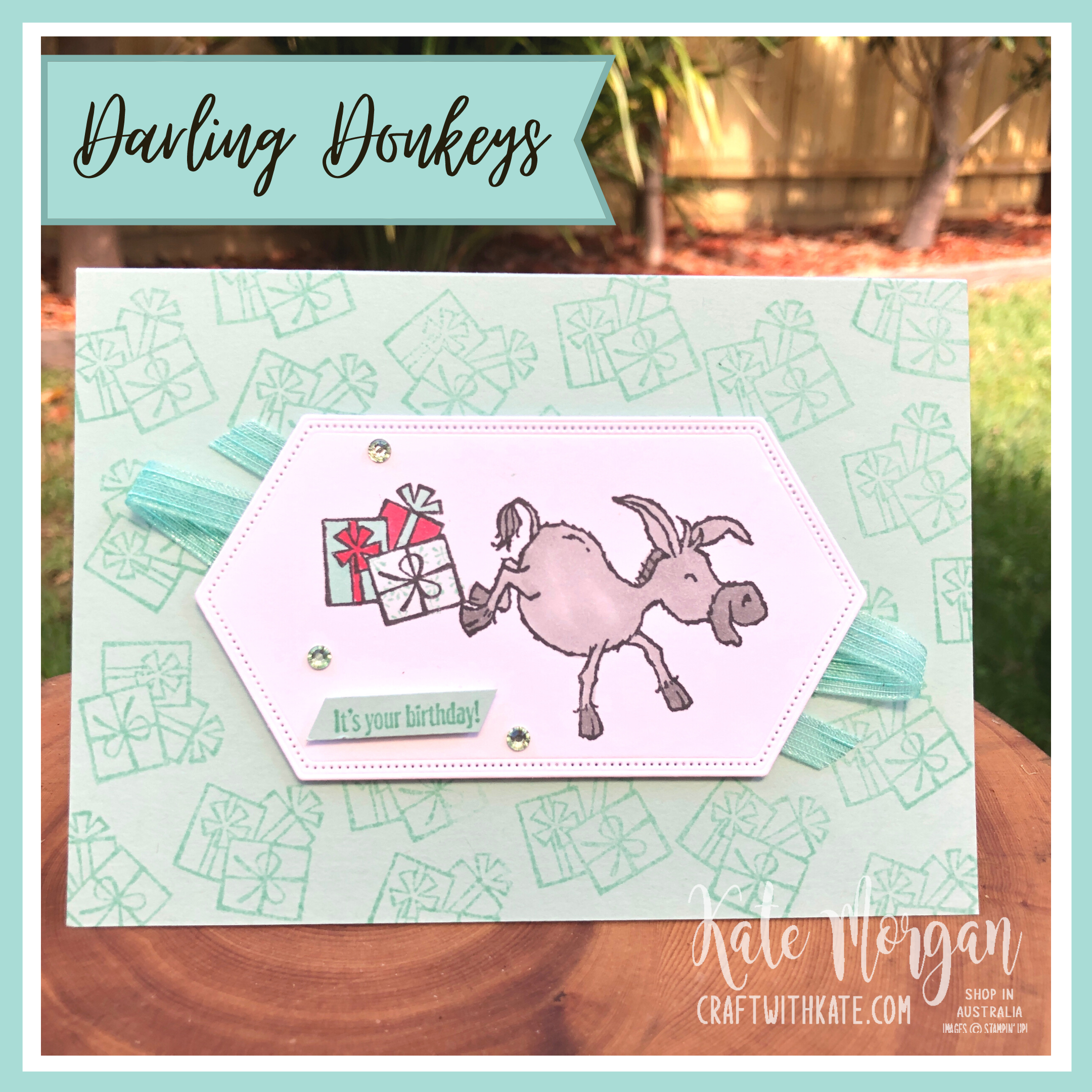Darling donkeys birthday card for pool party colour creations showcase by kate morgan  stampin up australia 2021