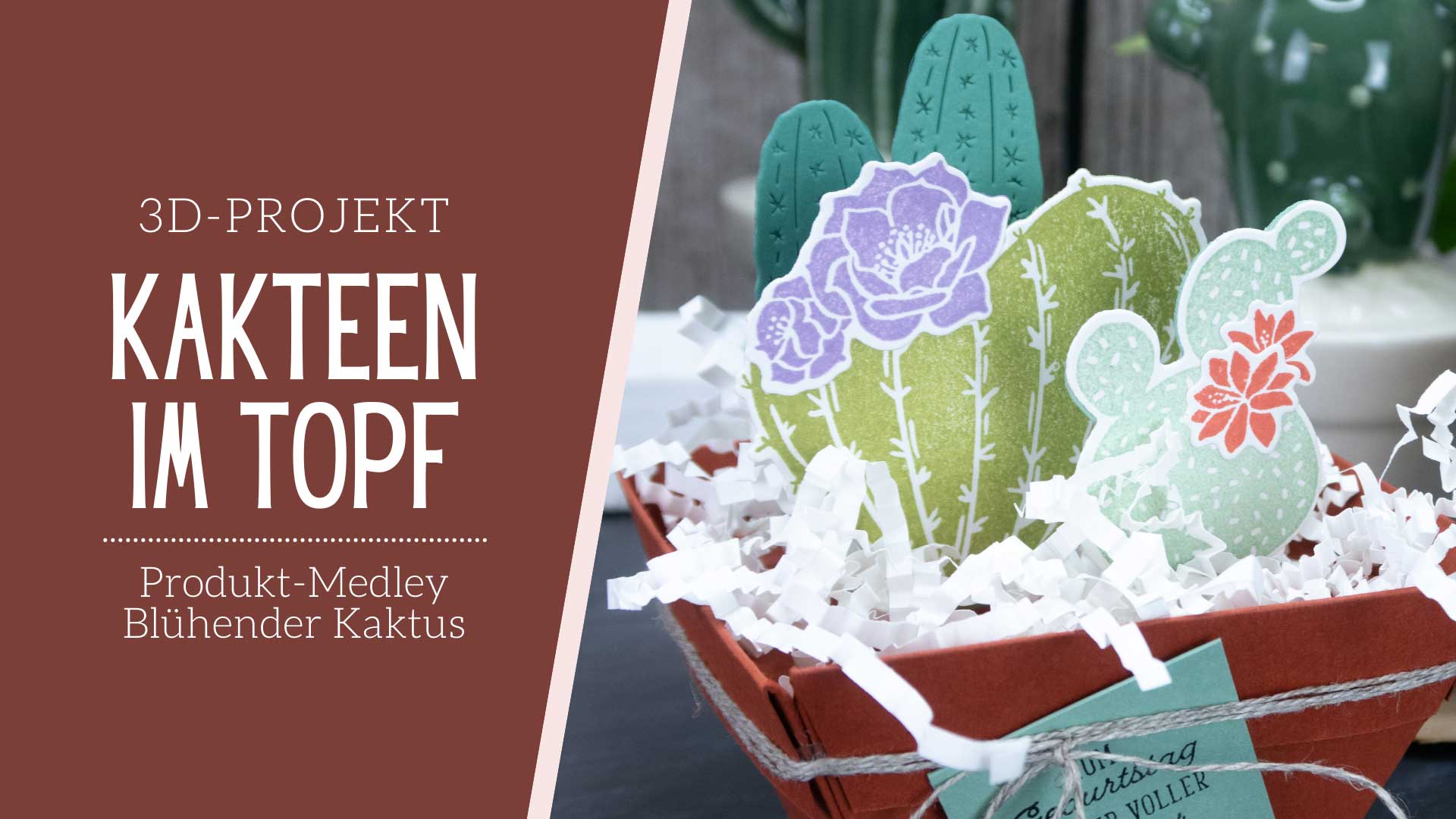 Stampin up kakteen im topf produkt medley bl%c3%bchender kaktus pinselschereco alexandra grape 2
