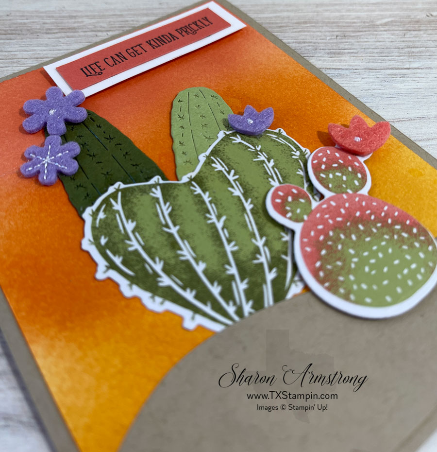 Cactus medley 7