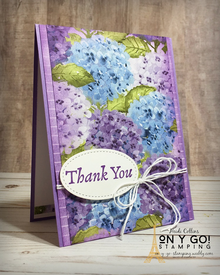Hydrangea hill blended