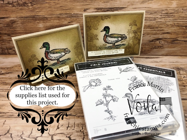 Wood duck with field journal supplies  