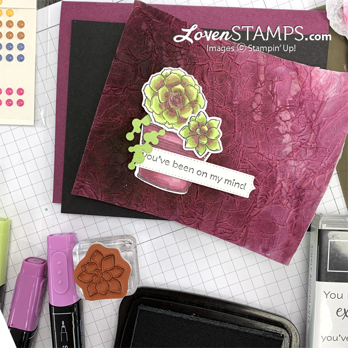 Ep 94 faux silk technique simply succulent potted purple green stampin blends how to reinker tutorial