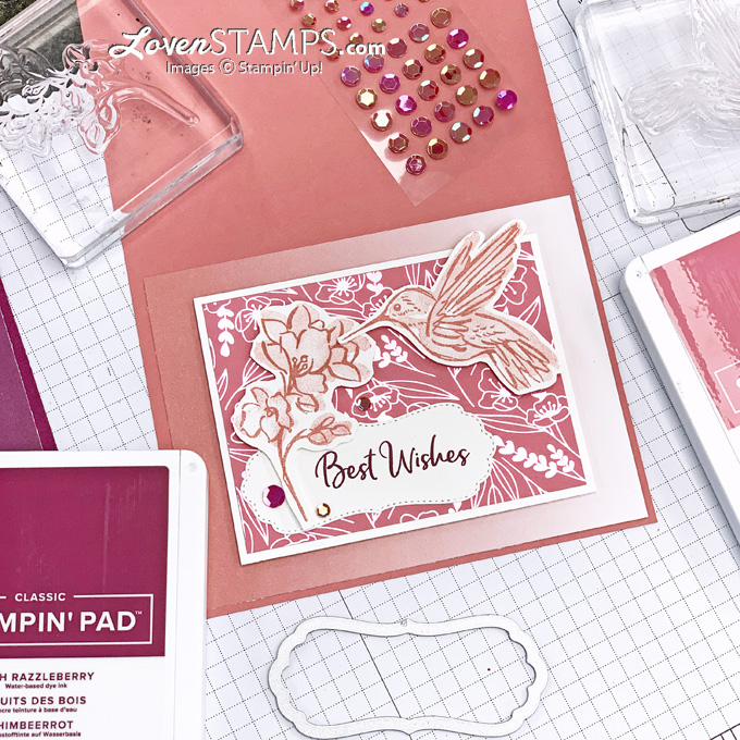 Ep 96 touch of ink love you always specialty dsp potted succulents dies 2 step card oh so ombre