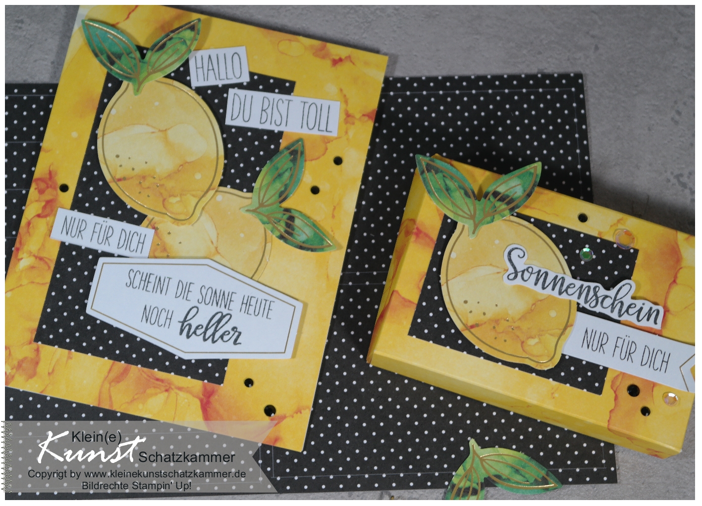 20210226 stampinup sonnepur sharesunshine 04