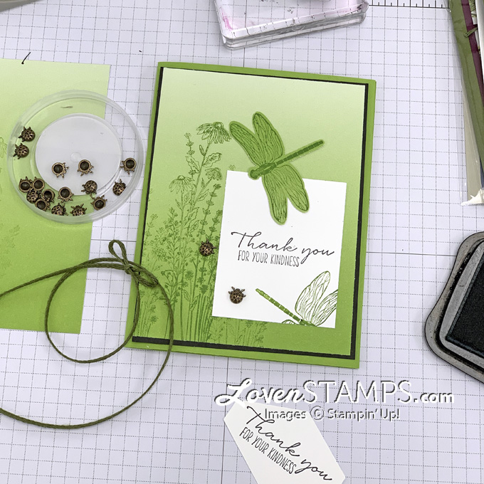 Ep 101 dandy dragonfly garden ladybug oh so ombre card idea