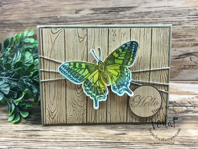 Butterfly bouquet   1 