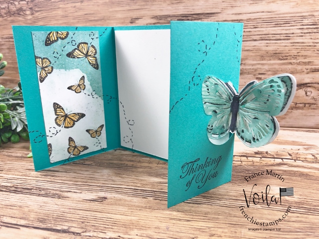 Butterfly brilliance flap fold   5 
