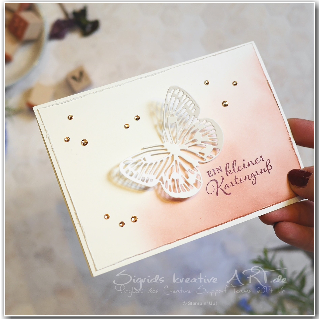 Butterfly brilliance   fluegel voller fantasie   stampin up 2 001