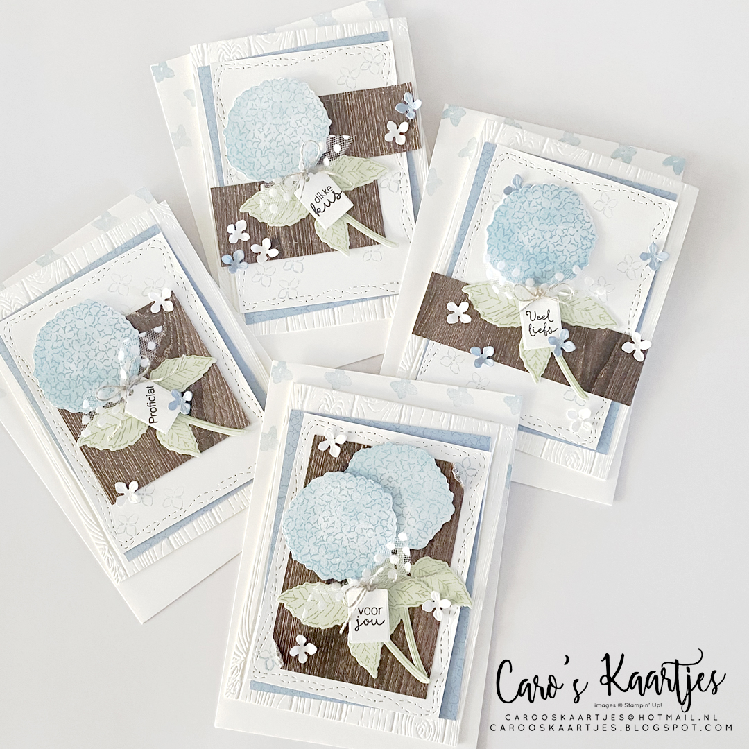Hydrangea heaven   hemelse hortensia  stampin  up    caro s kaartjes   cardset