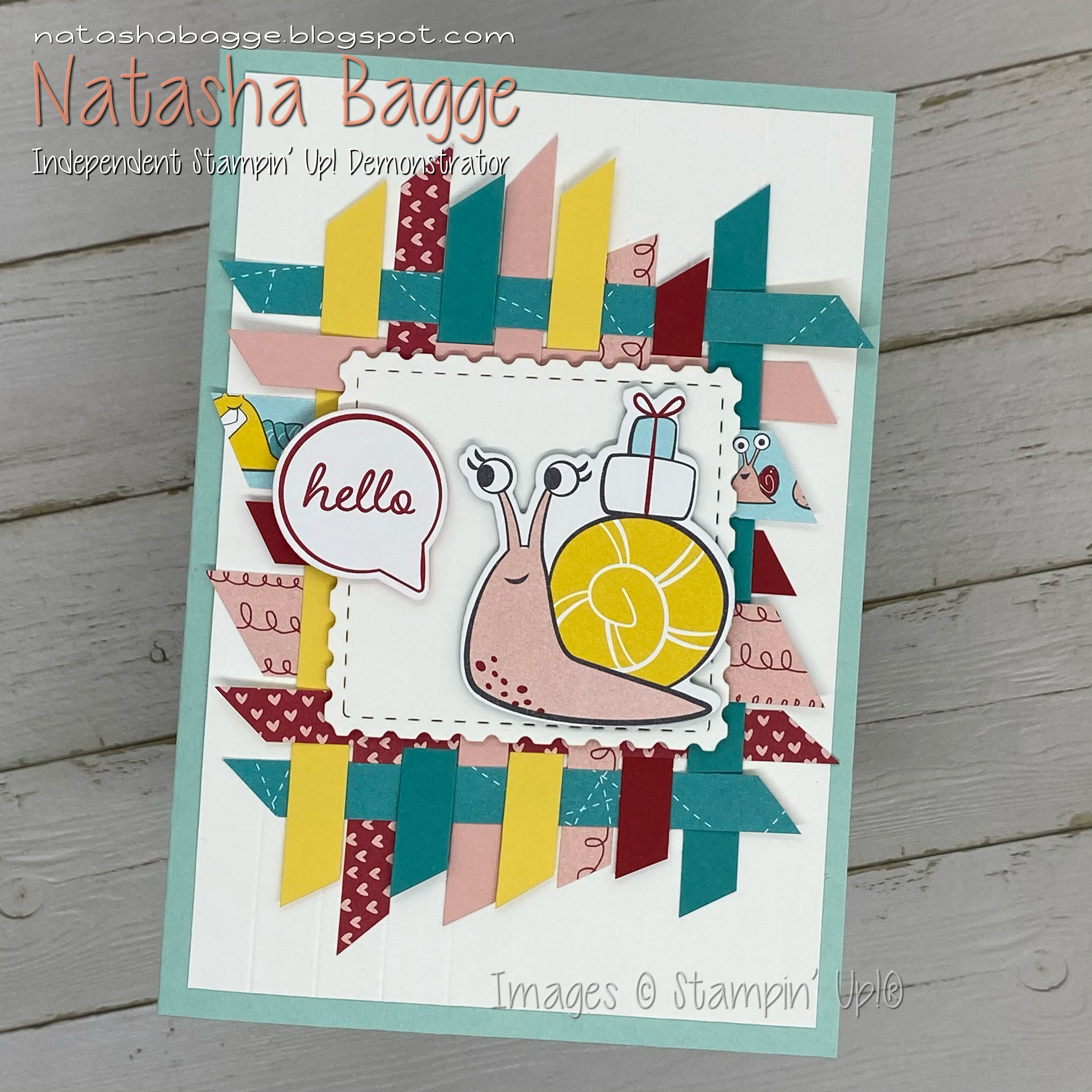 Casing the jj catalogue snail woven paper