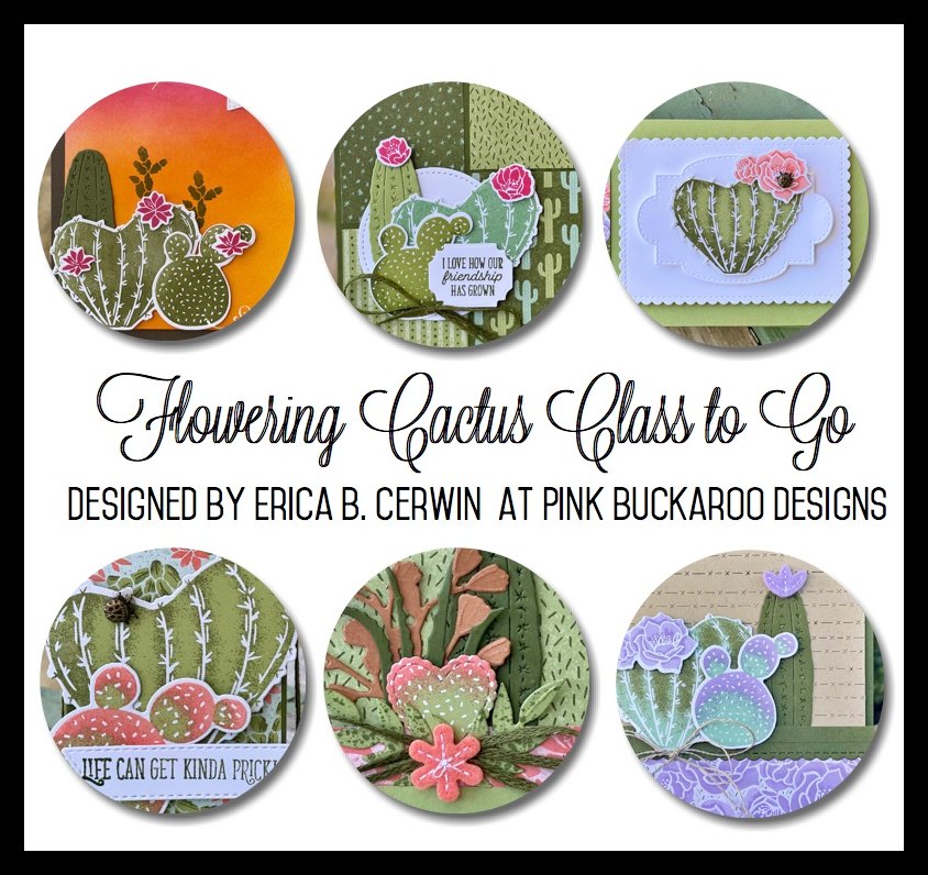 Flowering cactus class to go 
