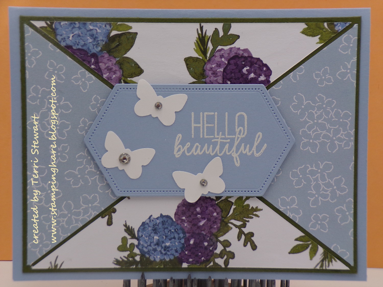 Butterfly gala hydrangea hill dsp triangle