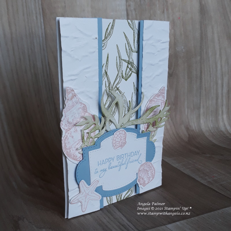 Seaside seashells raised panel card side