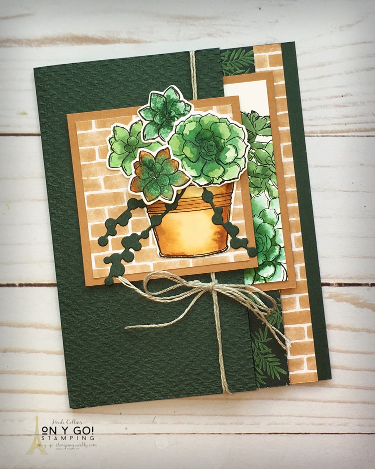 Mystery stamping book succulents
