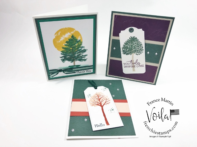 Evening evergreen color combo 