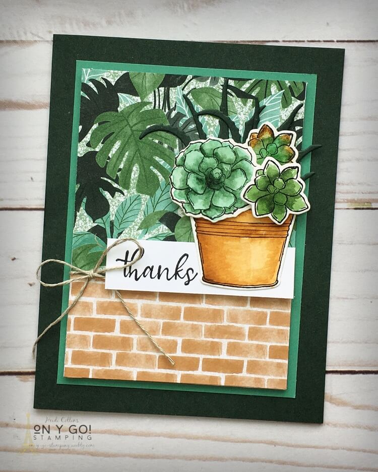 Mystery stamping patterned paper sketch simply succulents