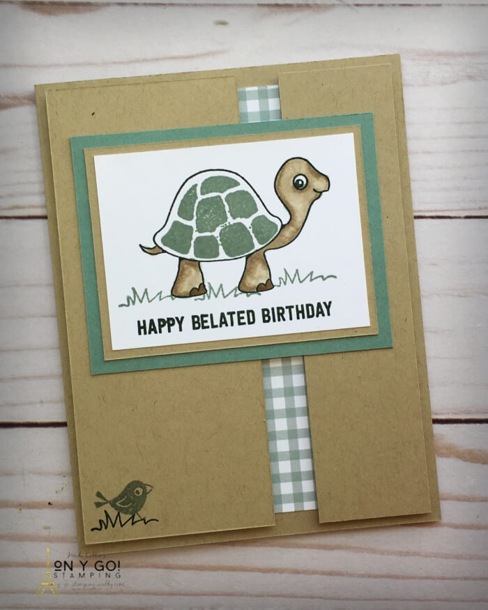Ms sliced turtle