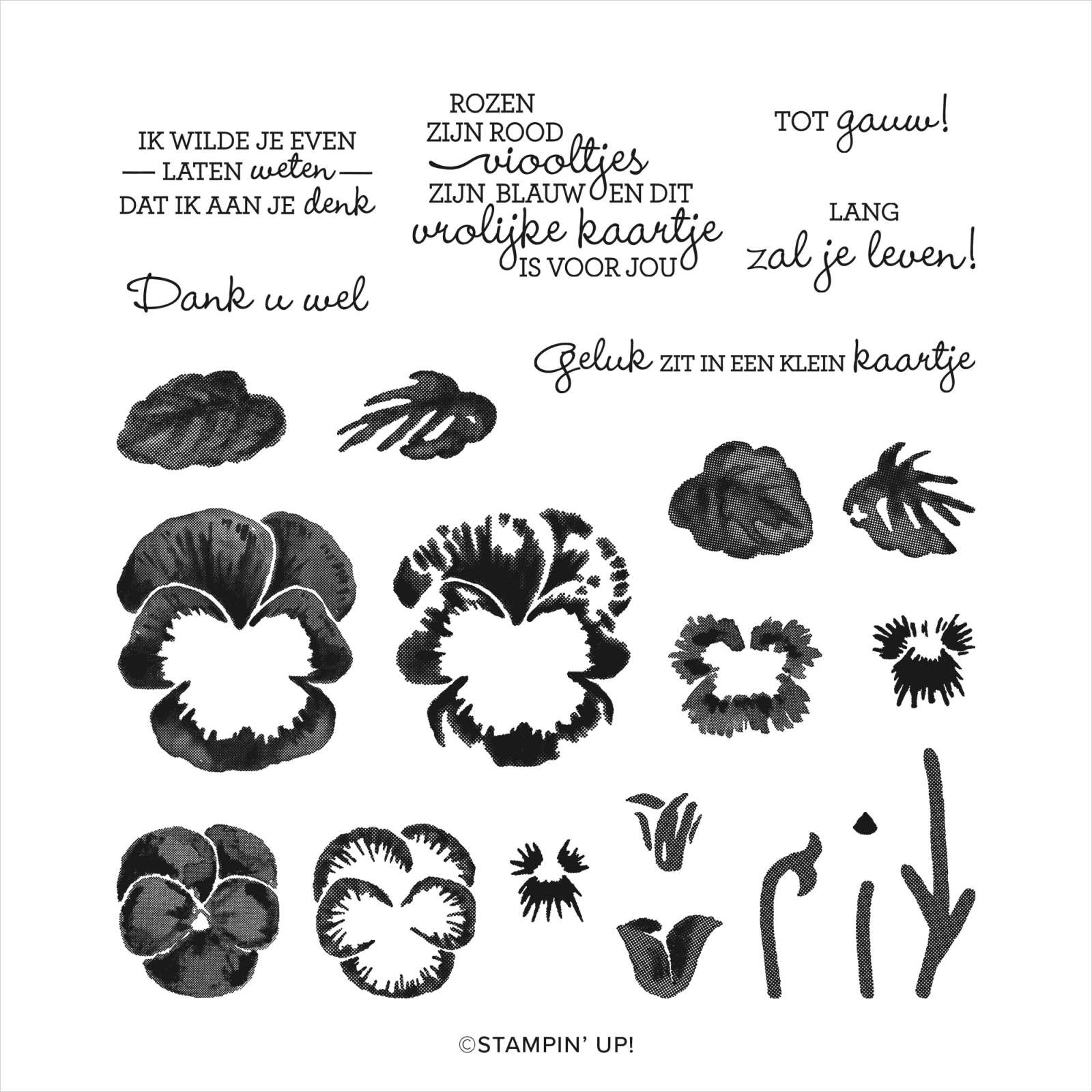 Vrolijke viooltjes 157031