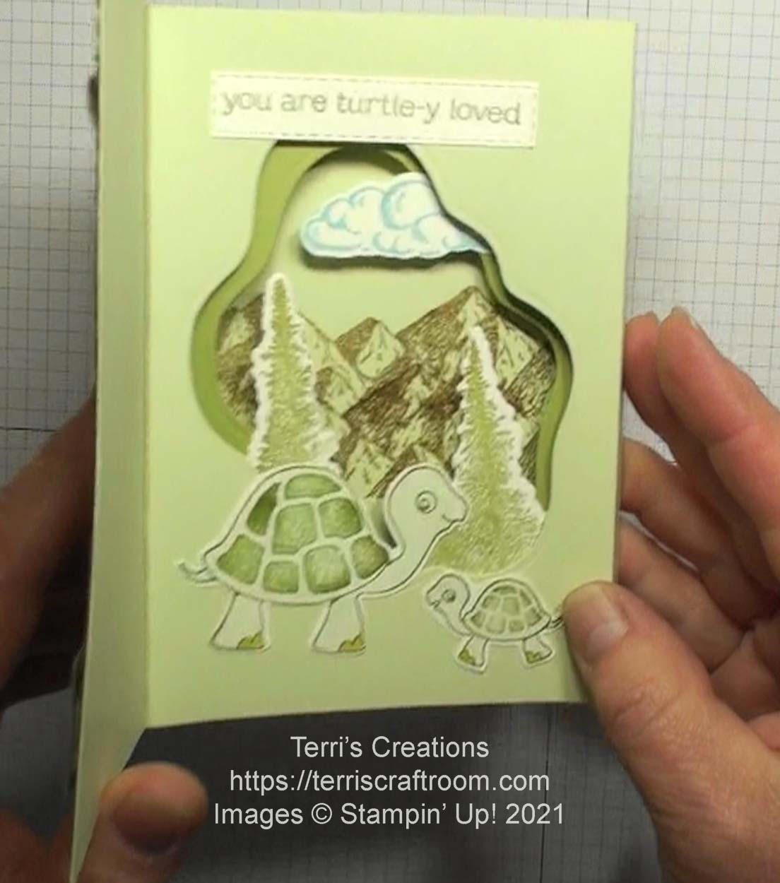 Layering diorama turtle card 9