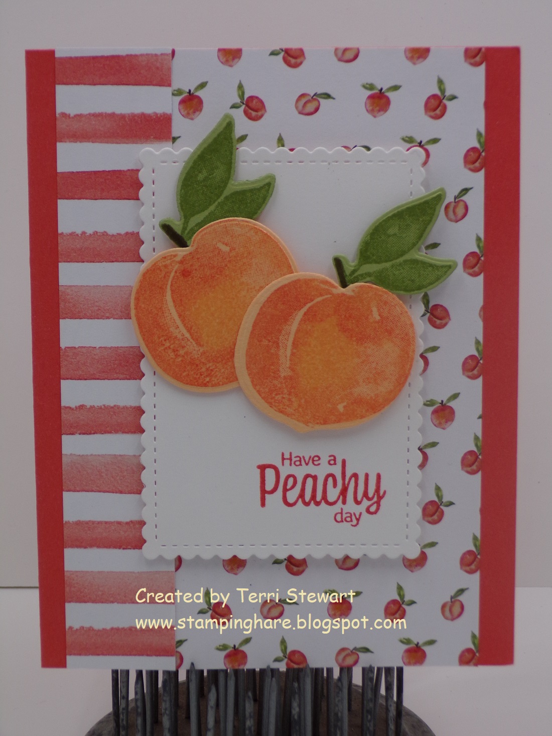 Peach catalog open house