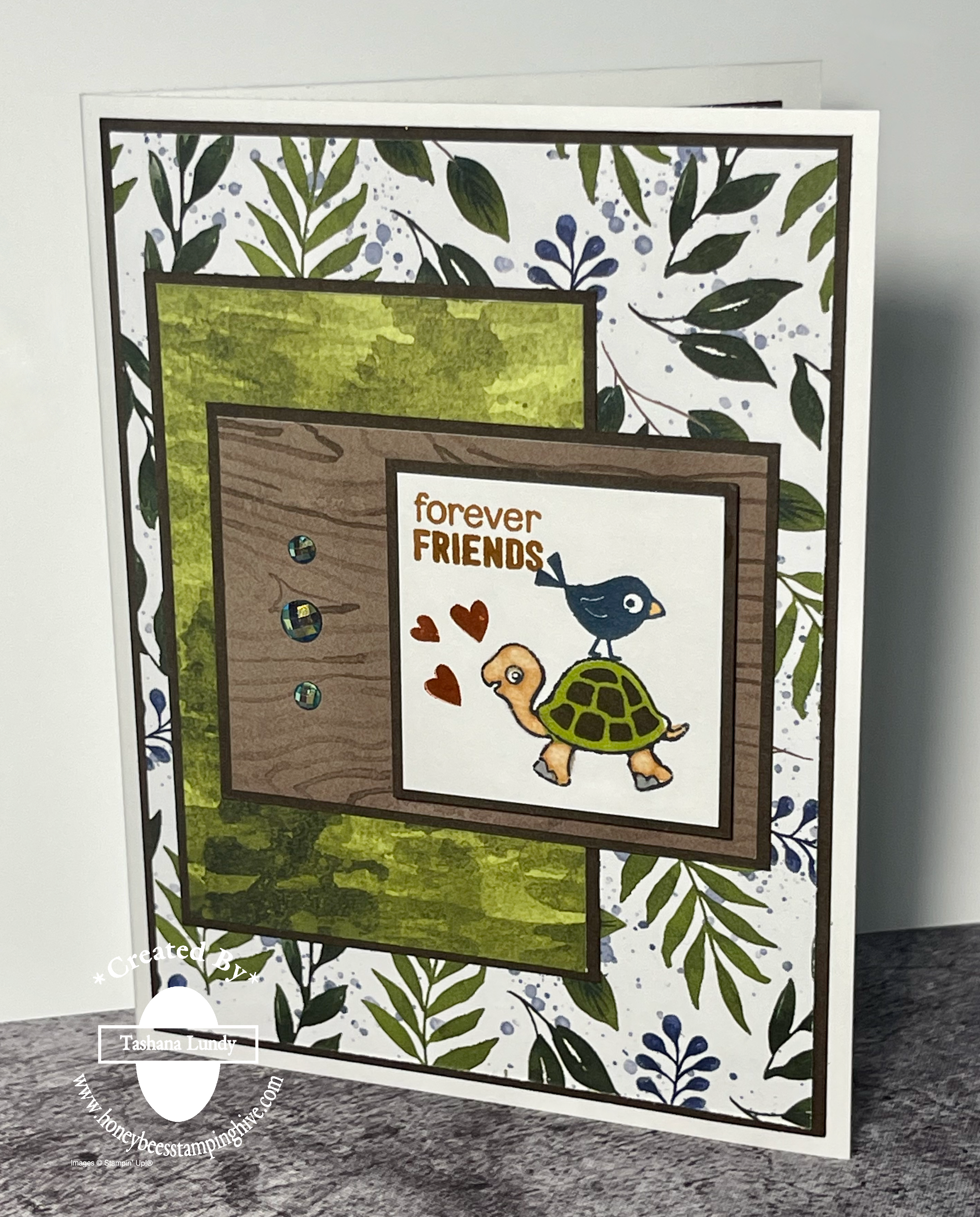 Video   turtle friends   beauty of the earth honeybee s stamping hive